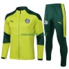 Palmeiras Ensemble Vestes d'Entraînement 21-22 Verte Pour Homme